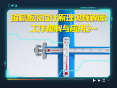 1786磁翻板液位计原理视频.png