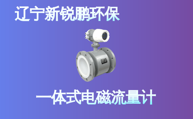 新锐鹏一 体式电磁流量计 (30).png